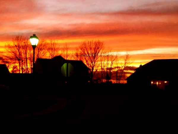 Winter Sunset